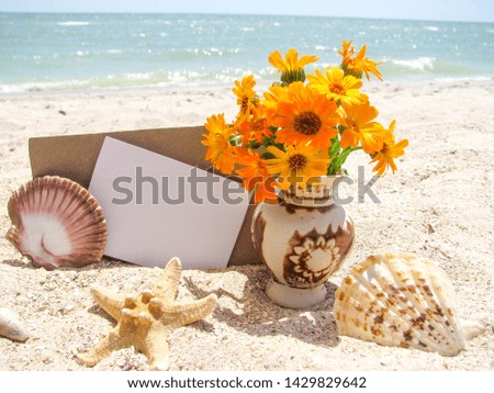 maritime concept. seashells, flowers and an envelope on the sea sand