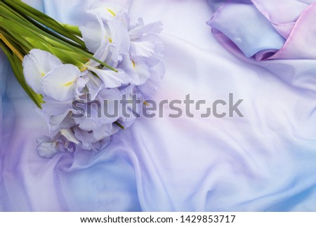 Spring nature background with beautiful iris flowers