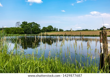 Pond with High Grass and an empty field. Empty field from a farm which was recently tilled. Sky is blue with some clouds in the sky