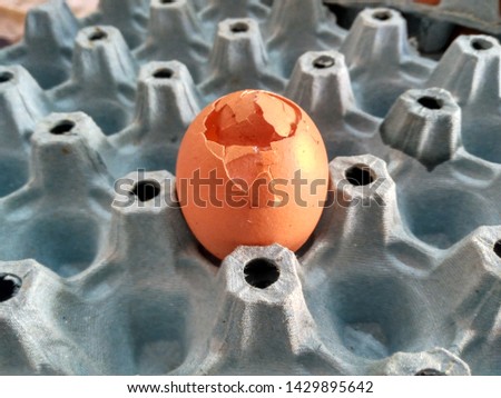 A picture of a broken egg