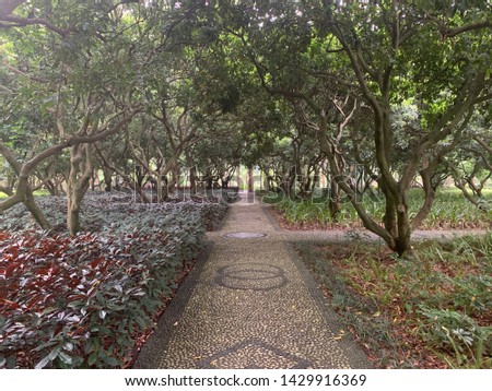 summer pathway in a park nature