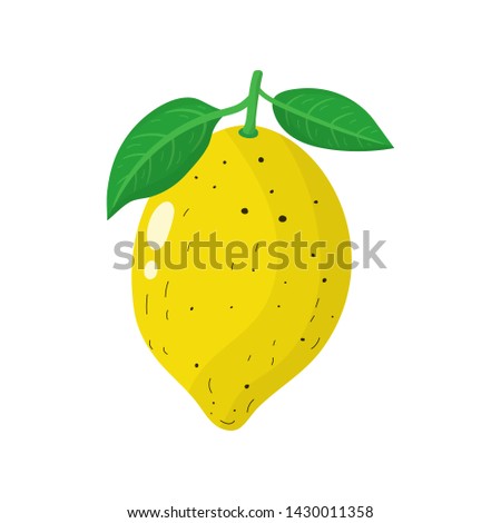 Fresh lemon isolated on white background. Organic fruit. Cartoon style. Vector illustration for any design.