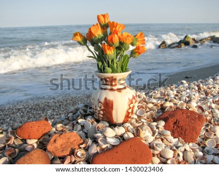 romantic composition. vase with a bouquet of flowers on the background of the sea