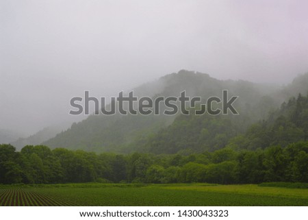 Rainy day wilderness and mountain landscape.