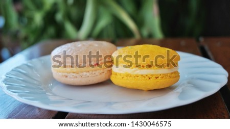 Macaroon sweet dessert beautiful color on white plate nature background