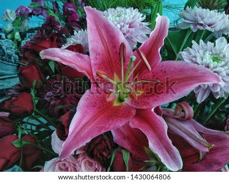 Lily is symbolized as purity and purity. Lily is a summer flower with the Latin name (genus) Lilium