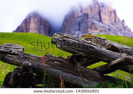 View of the Alpine mountains in the fog, wooden beams on the green grass
