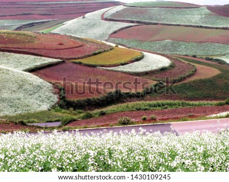 
Red Land of Dongchuan in china,Blured picture of Scenery rural south Yunnan, China, vegetable garden and straw puppet on the Red Land of Dongchuan.					