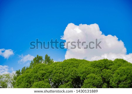 Beautiful Blue Sky Background with White Clouds and Tree. Picture for Summer Season.