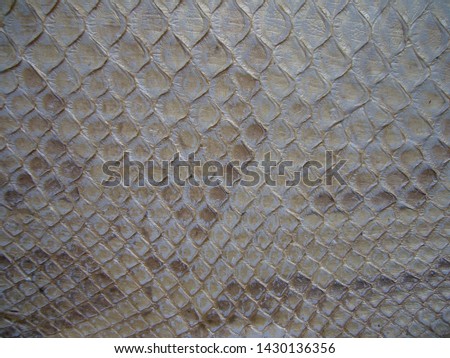 Light natural leather python. Snake skin. Skin texture. Leather background.