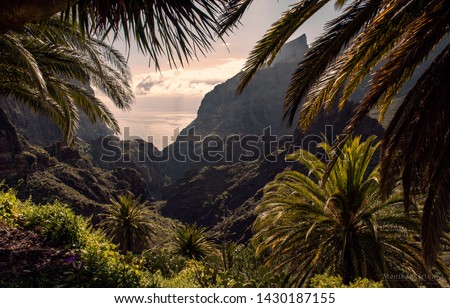 Masca is a small mountain village on the island of Tenerife. The village is home to around 90 inhabitants. Forests including cypresses and palm trees abound. The village lies at the head of the Masca Royalty-Free Stock Photo #1430187155