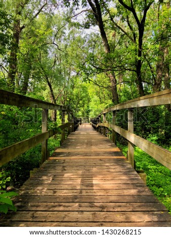 A wooden foot bridge with wood railings, on a walking path over a small creek in a natural environment in the forest, surrounded by trees and nature during the spring summer season.  

