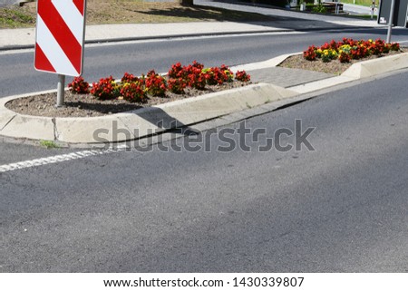 road into village with flowers in the middle of the road
