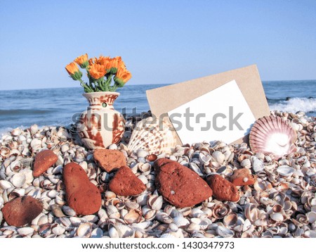 romantic message concept. flowers, seashells and an envelope on the background of the sea.