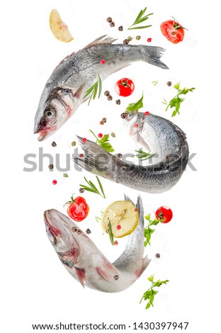Raw sea bass fish with spices and ingredients, ready for cooking, with frying pan. Flying food isolate on white background