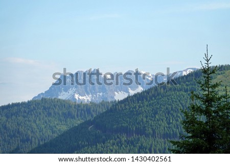 beautiful view on a sunny day to the leoganger steinberge in austria salzburg