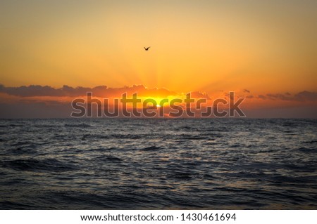 east sea of korea with sunrise(set)