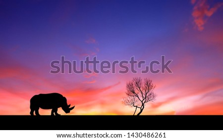 Amazing sunset and sunrise.Panorama silhouette tree in africa with sunset.Tree silhouetted against a setting sun.Dark tree on open field dramatic sunrise.Safari theme.silhouette Rhino.