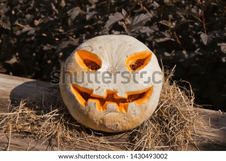 Jack O Lantern with carved face sitting on a bed of straw.
