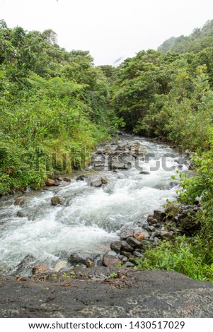 a river in the Colombian jungle 