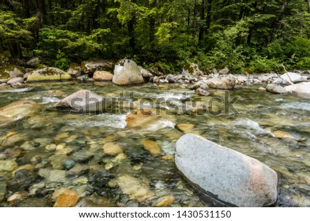 stream with clear water run down the rocky creek inside forest with green trees on the shore
