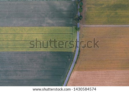 Top down view of the fields. with road cutting them in half. 