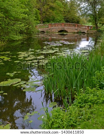 Lake with water lilies and a stone bridge