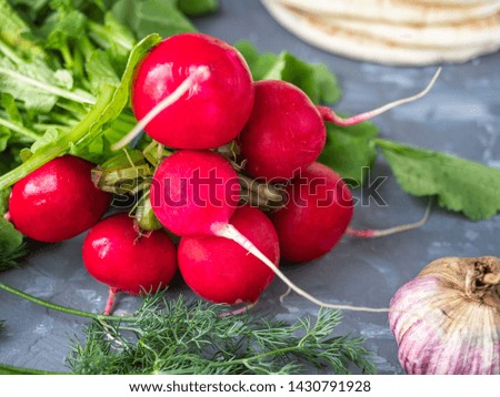 A bunch of fresh red radishes on a gray background shot from close range
