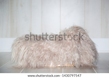 Isolated view of a newborn photography setup, in studio, featuring neutral light boards on the floor and wall. A basket rests in the center, covered with a furry light beige blanket.