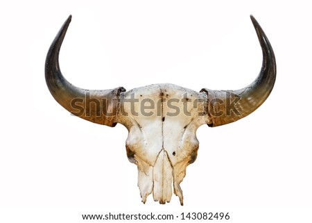 Western Country Like Head of horn or Skull of animal for adornment house
 Royalty-Free Stock Photo #143082496