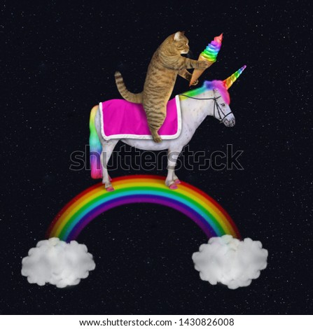 The cat with an ice cream cone is riding the unicorn on the rainbow between two clouds at night. Stars background.