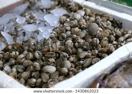 shellfish in the fish market is organic healthy food natural protein