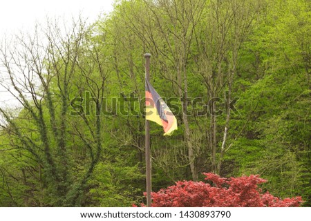 German flag in the forest (Moselkern, Germany, Europe)