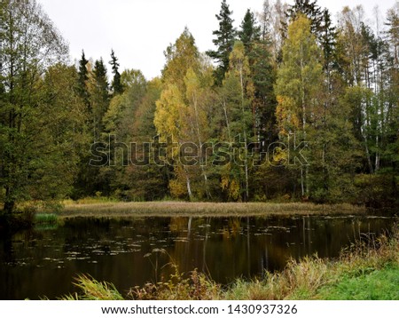 small pond on the edge of the forest, first autumn colors