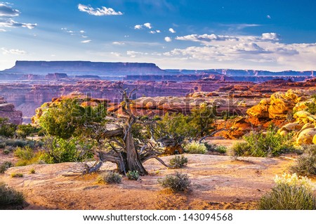 Stormy Sky over Needles District Canyonlands National Park Royalty-Free Stock Photo #143094568