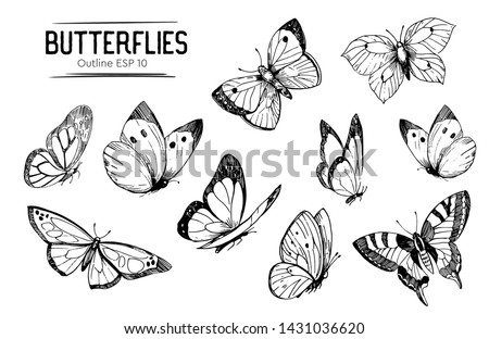 Set of butterflies outlines. Hand drawn illustration converted to vector