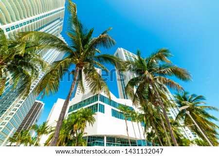 Palm trees and skyscrapers in downtown Miami, USA