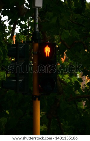Traffic Light - The Red Sign
