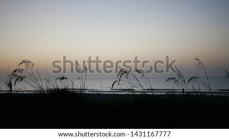 Sunrise pictures on the beach.