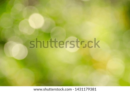 Natural bokeh drops on green grass as a backdrop
