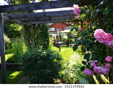 English Garden scene in the summer
