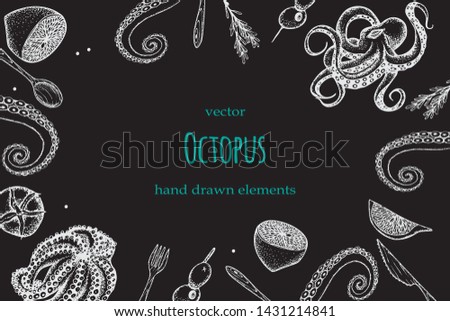 Octopus .Set of seafood. Hand drawn illustrations.Seafood concept on white background. Hand drawn octopus . Background template for design. Can be use for menu, packaging.