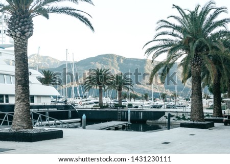 Beautiful view of yachts and palm trees in the port of Montenegro. Natural landscape in the background.
