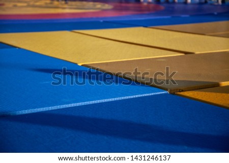 Sports mats. Sports on a special coating. Floor mats. After wrestling competitions.