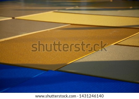 Sports mats. Sports on a special coating. Floor mats. After wrestling competitions.