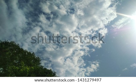 sunny bright blue sky with clouds and tree