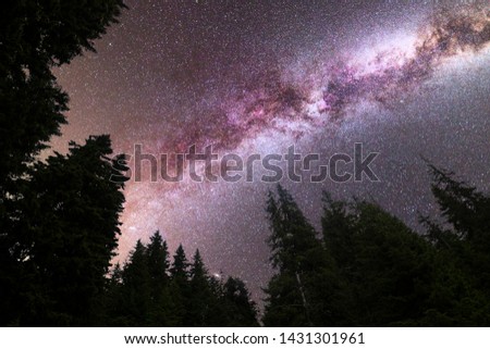 A view of a Meteor Shower and the purple Milky Way with pine trees forest silhouette in the foreground. Perseid Meteor Shower observation. Night sky nature summer landscape.