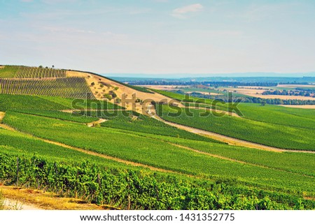 View on the vineyards in the valley.