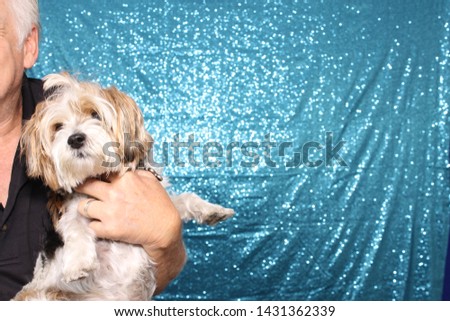 Man in a Photo Booth with a Dog. A man poses and smiles while in a photo booth with blue sequin drapes with a small dog. Photo Booths are fun for everyone even dogs. 