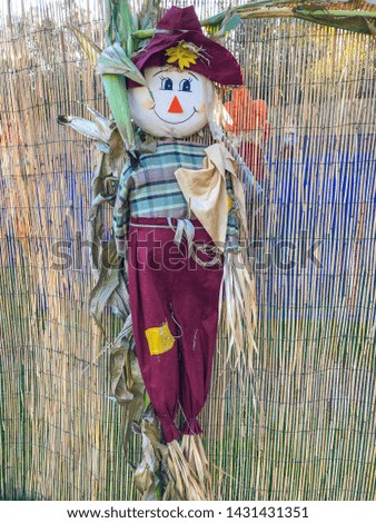 Scarecrow is a decoy or mannequin, often in the shape of a human. 